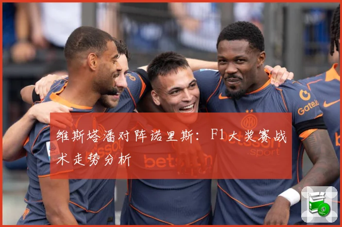 维斯塔潘对阵诺里斯：F1大奖赛战术走势分析