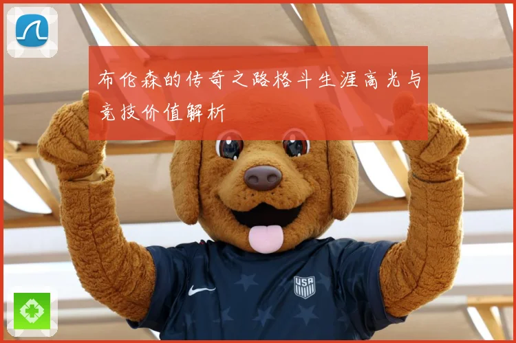 布伦森的传奇之路格斗生涯高光与竞技价值解析