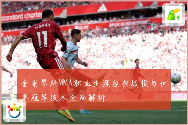 舍甫琴科MMA职业生涯经典战役与世界冠军技术全面解析