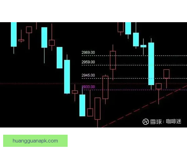 世界杯竞猜盘口深度解析与精准赛果预测策略指南